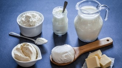 Vivici partners with Ginkgo Bioworks to create new range of animal-free dairy proteins with precision fermentation