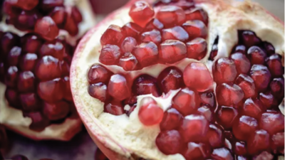 Pomella® pomegranate extract: potential as a prebiotic