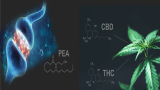 The “Magic” of CBD vs. The “Science” of PEA